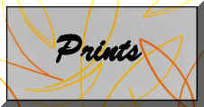 Prints.jpg (9854 bytes)
